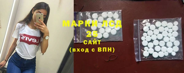соль ск Новодвинск