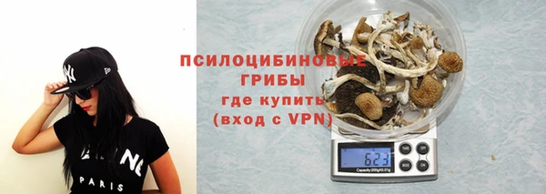 бутират Няндома