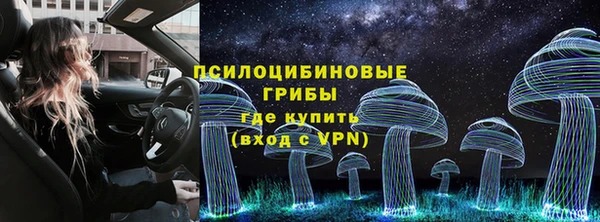 каннабис Новозыбков