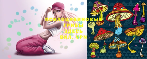 каннабис Новозыбков