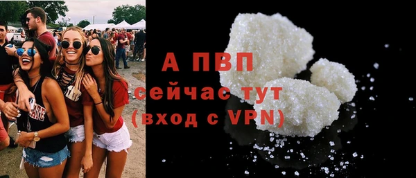 соль ск Новодвинск