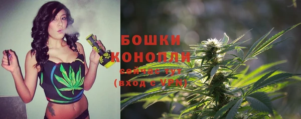 каннабис Новозыбков