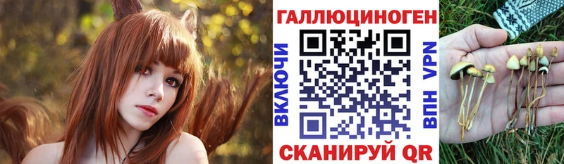 Псилоцибиновые грибы GOLDEN TEACHER мега ссылки Власиха купить наркотики цена