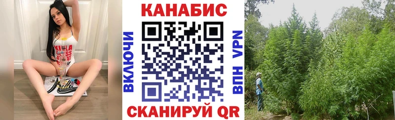 Конопля Bruce Banner Власиха
